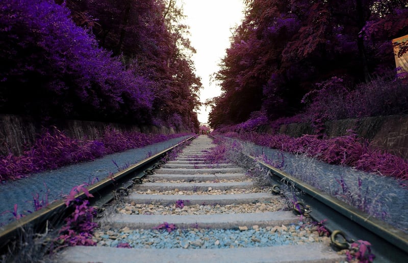 Dreamlike Vistas