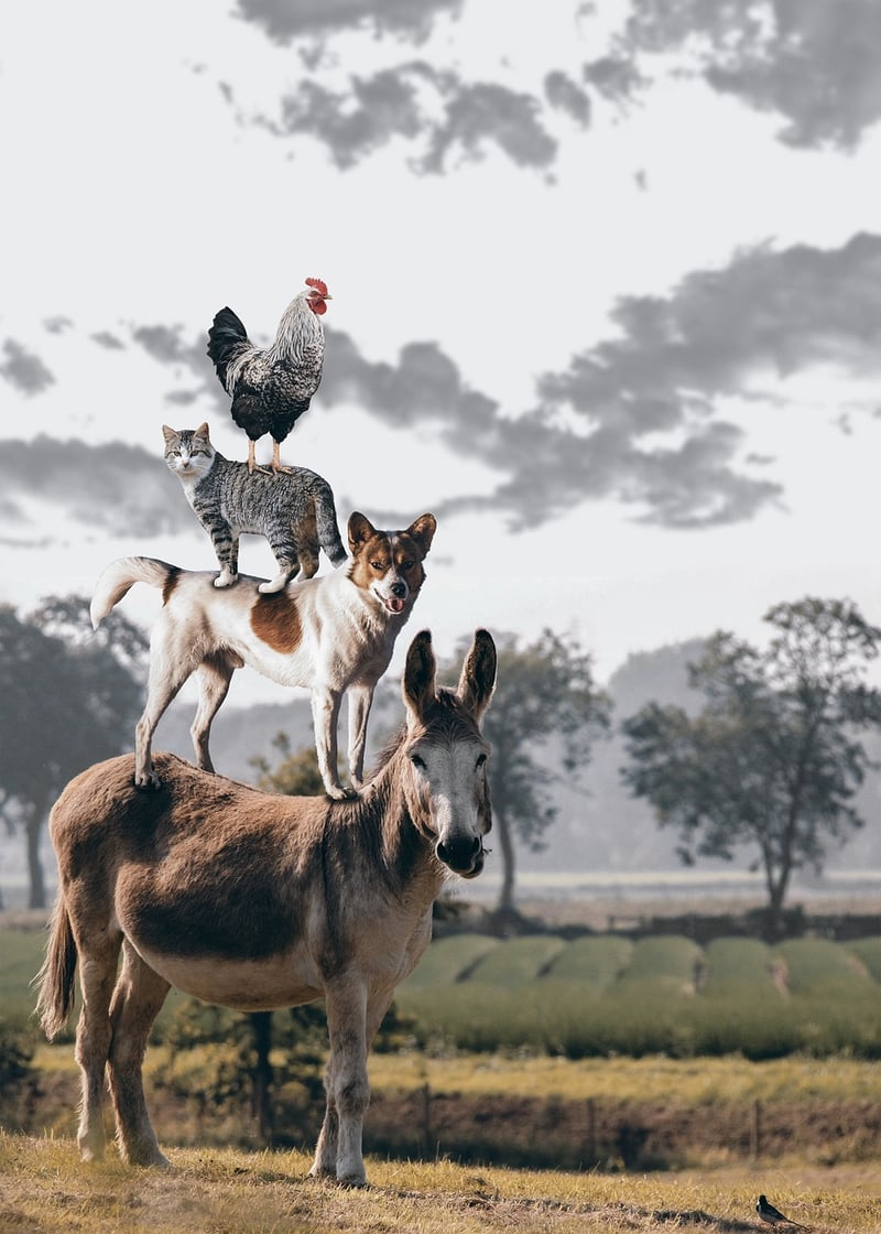 Magical Miniature World