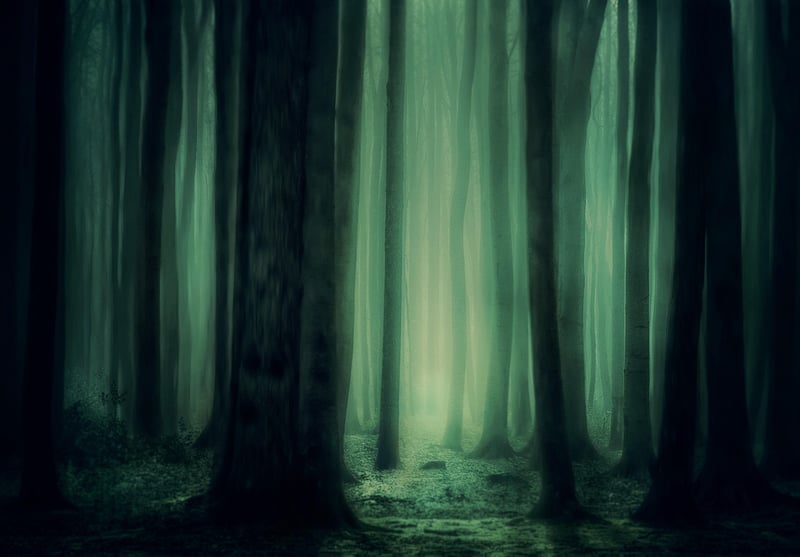 Whispering Willow