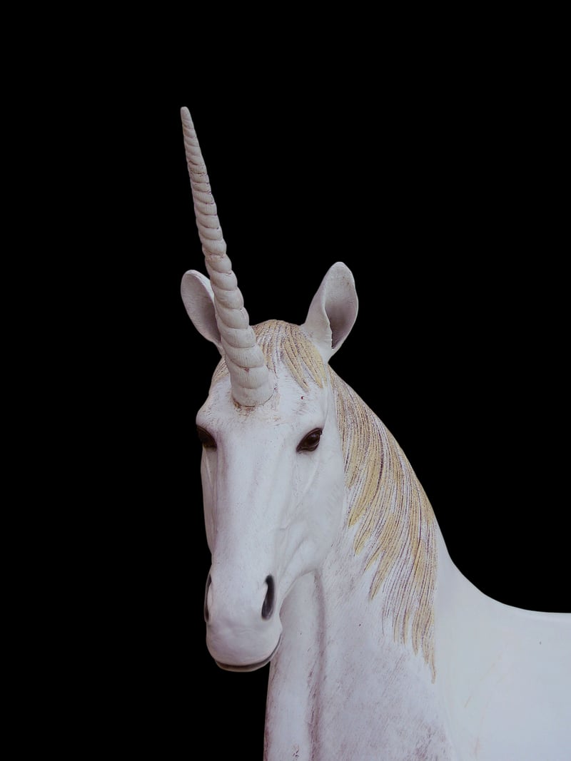 Unicorn Sanctuary Image